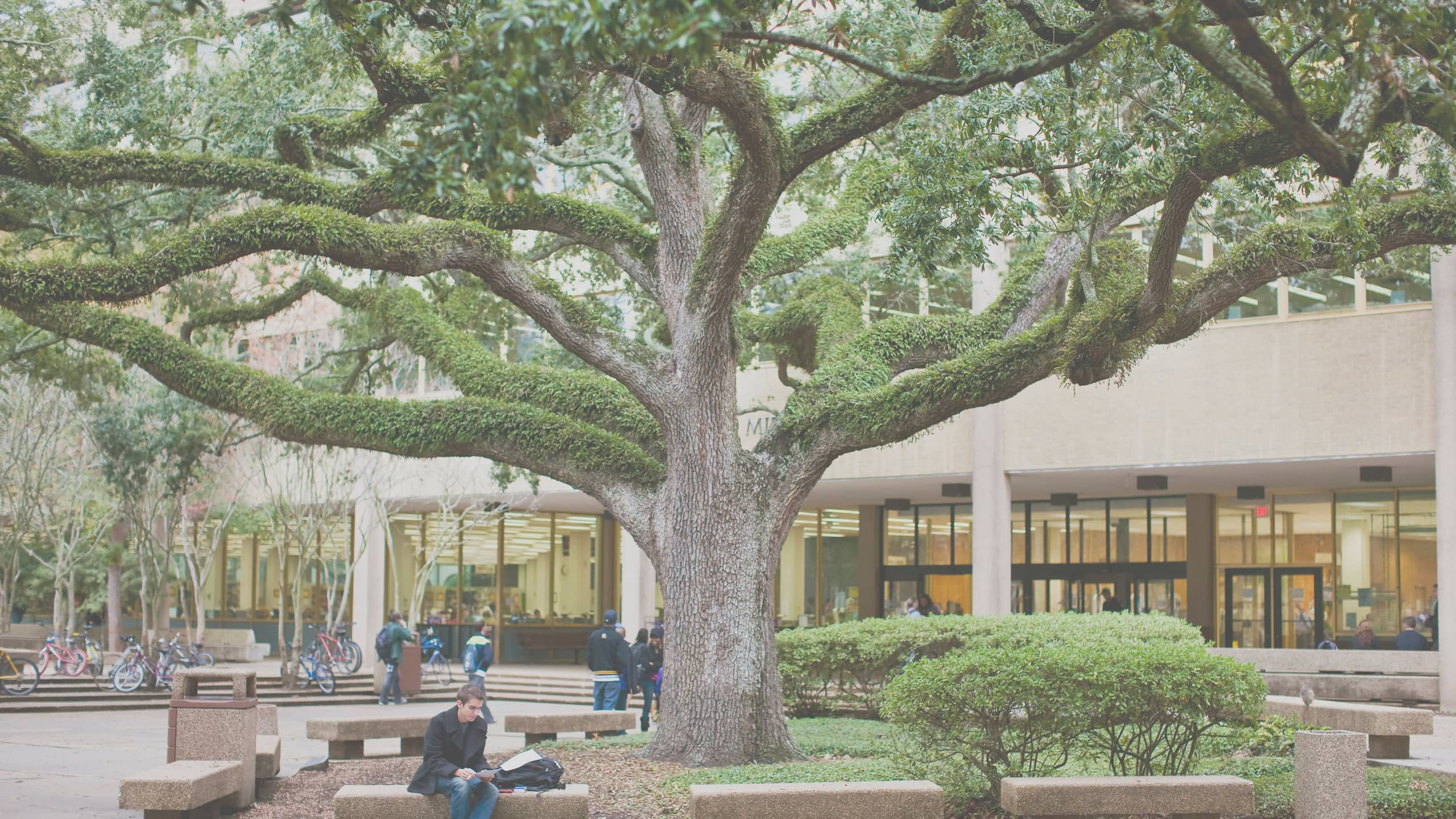 lsu library thesis